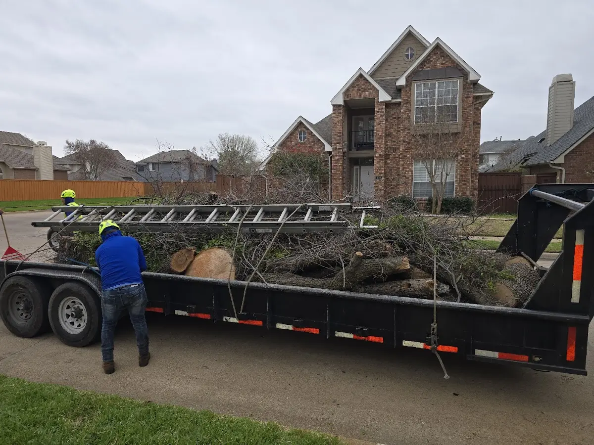 Expert Tree Fertilization with proper safety equipment in Meeker